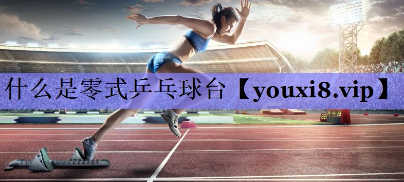 什么是零式乒乓球台