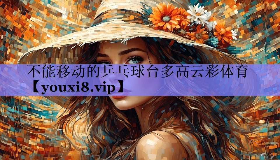 不能移动的乒乓球台多高云彩体育