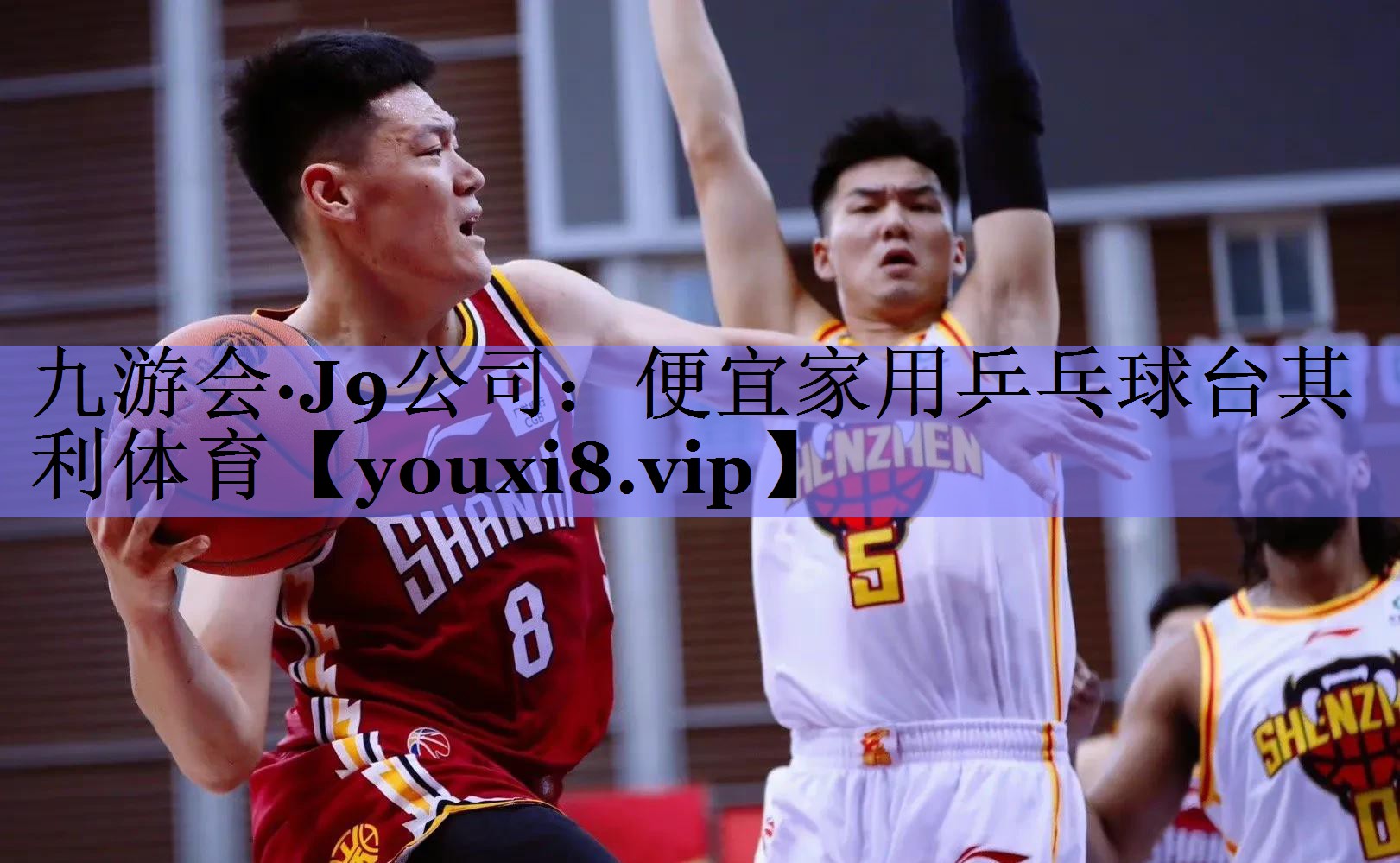 九游会·J9公司：便宜家用乒乓球台其利体育