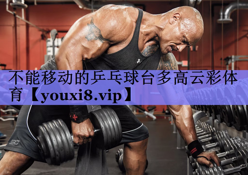 不能移动的乒乓球台多高云彩体育