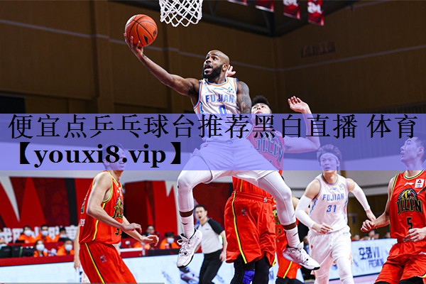 便宜点乒乓球台推荐黑白直播 体育