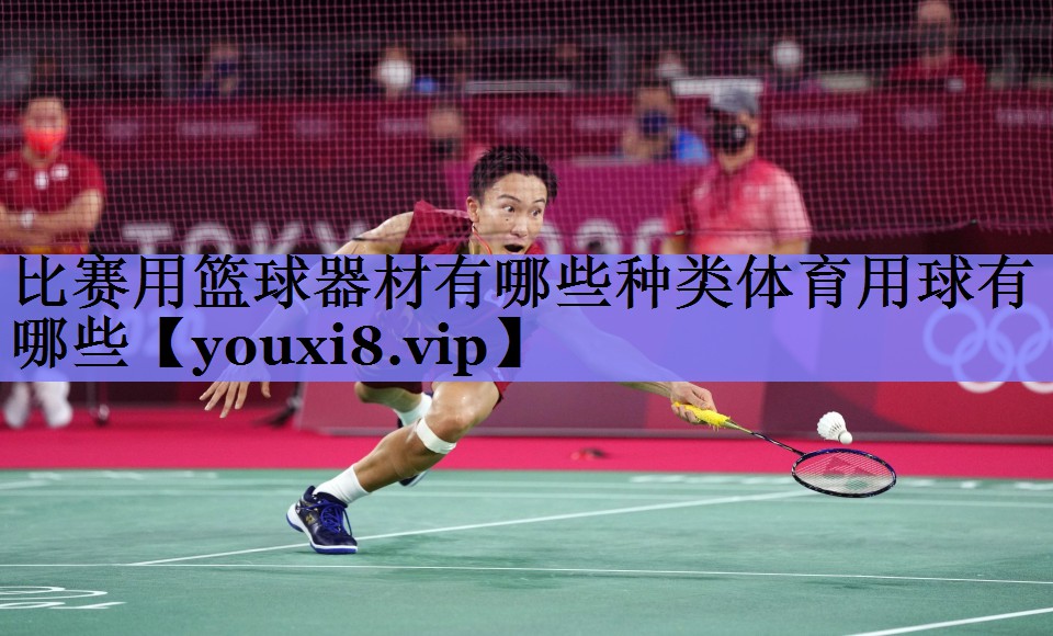 比赛用篮球器材有哪些种类体育用球有哪些